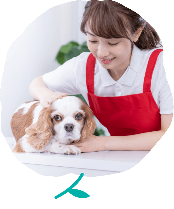 Ponoの3つのこだわり 画像