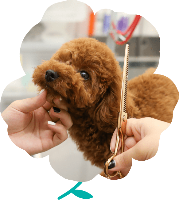 Ponoの3つのこだわり 画像